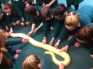 Science Week 2012