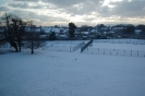 Snow 2010