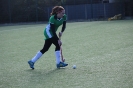 Hockey 2015/2016