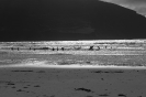 TY Outdoor Pursuits 2015