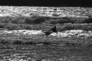 TY Outdoor pursuits_4